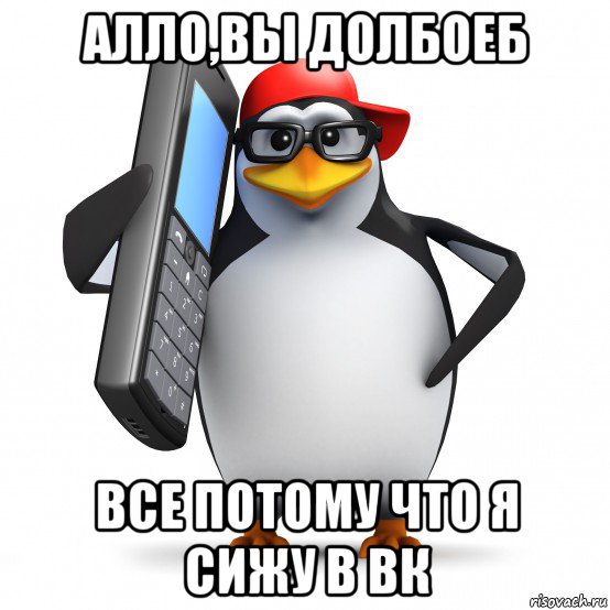 алло,вы долбоеб все потому что я сижу в вк, Мем   Пингвин звонит