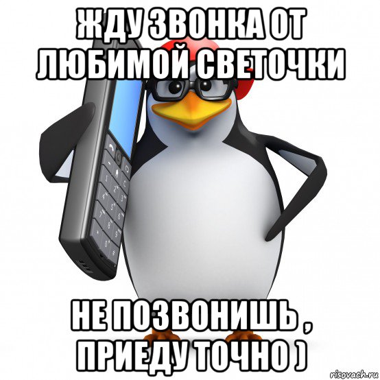 Приедешь позвони. Ну а хули нам бизнесменам. Ну а хули нам бизнесменам Пингвин. Мем Пингвин звонит. Завтра жду звонка Мем.