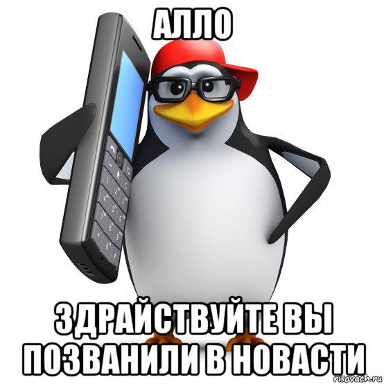 алло здрайствуйте вы позванили в новасти, Мем   Пингвин звонит