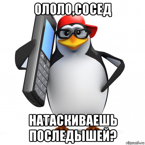 ололо,сосед натаскиваешь последышей?, Мем   Пингвин звонит