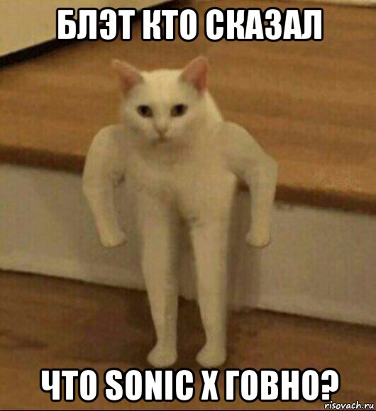 блэт кто сказал что sonic x говно?, Мем  Полукот