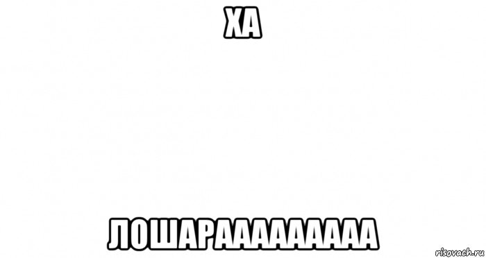 ха лошарааааааааа