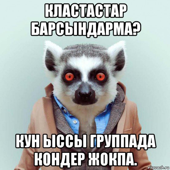 кластастар барсындарма? кун ыссы группада кондер жокпа., Мем укуренный лемур