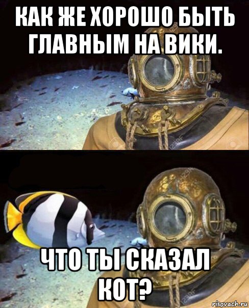 как же хорошо быть главным на вики. что ты сказал кот?, Мем   Высокое давление