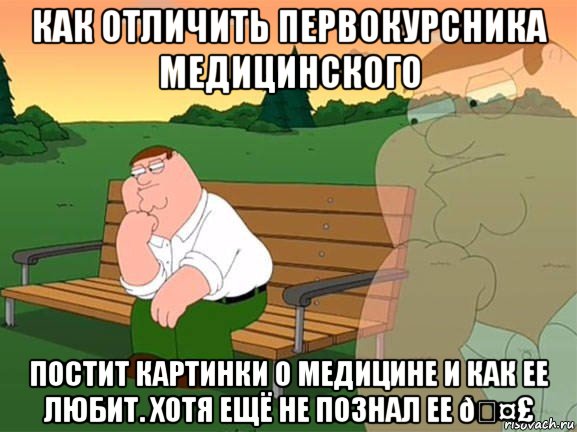 Мем Задумчивый Гриффин