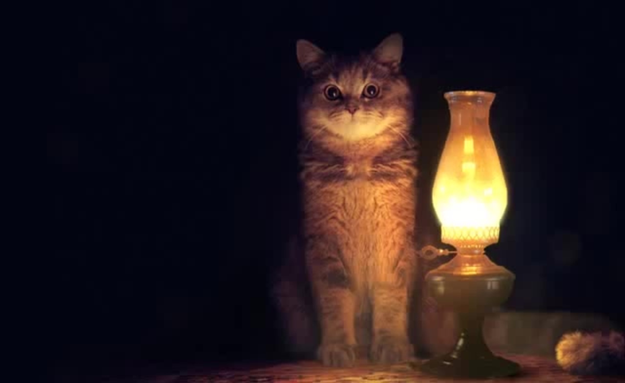 Кот с лампой
