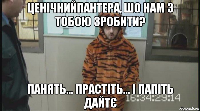 ценічнийпантера, шо нам з тобою зробити? панять... прастіть... і папіть дайтє, Мем Бородач в костюме тигра (Наша Раша)