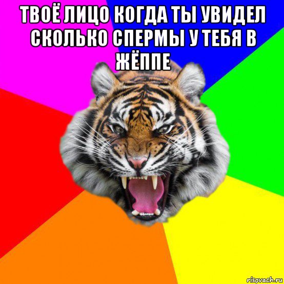 твоё лицо когда ты увидел сколько спермы у тебя в жёппе , Мем  ДЕРЗКИЙ ТИГР