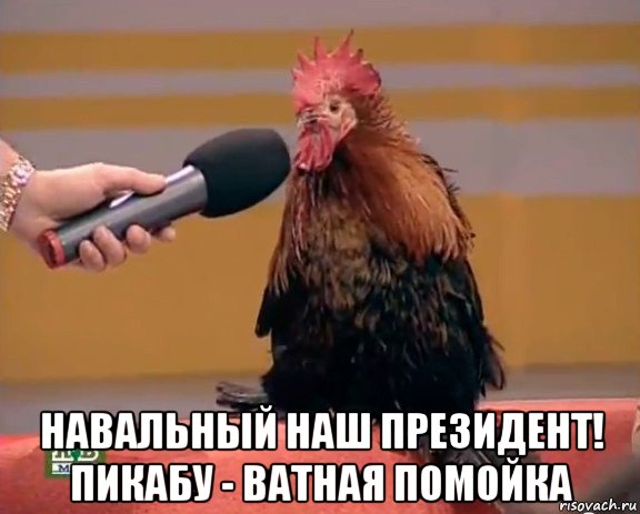  навальный наш президент! пикабу - ватная помойка, Мем Интервью с петухом