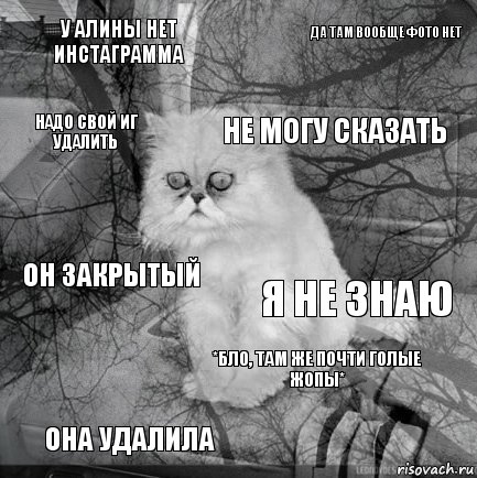 У Алины нет инстаграмма Я не знаю Не могу сказать Она удалила Он закрытый Да там вообще фото нет *бло, там же почти голые жопы* Надо свой ИГ удалить  , Комикс  кот безысходность