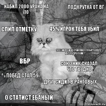 Набил 2000 урона на 10 Союзник сказал что ты дно 45% Игрок тебя убил О статист ебаный ВБР Подкрутка от ВГ Друг сидит в ранговых Слил отметку % побед стал 59 99% игроков считают тебя кустодротом, Комикс  кот безысходность