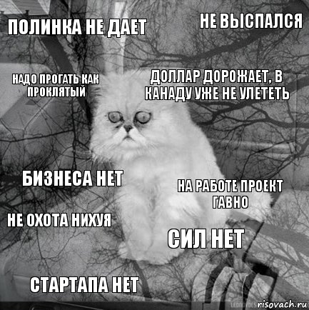 полинка не дает на работе проект гавно доллар дорожает, в канаду уже не улететь стартапа нет бизнеса нет не выспался сил нет надо прогать как проклятый не охота нихуя , Комикс  кот безысходность