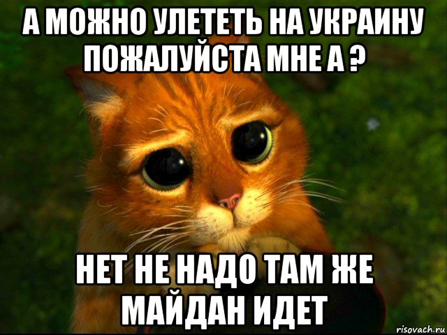 а можно улететь на украину пожалуйста мне а ? нет не надо там же майдан идет, Мем кот из шрека