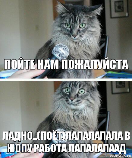 Пойте нам пожалуйста Ладно..(поёт)лалалалала В жопу работа лалалалаад, Комикс  кот с микрофоном