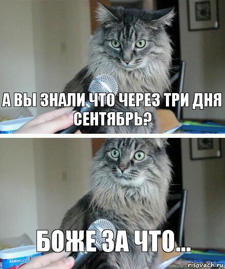 а вы знали что через три дня сентябрь? боже за что..., Комикс  кот с микрофоном