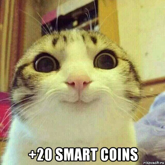  +20 smart coins, Мем       Котяка-улыбака