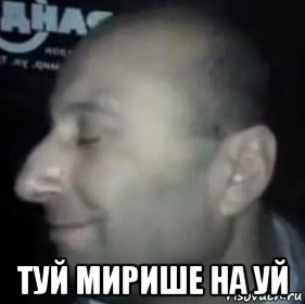  туй мирише на уй