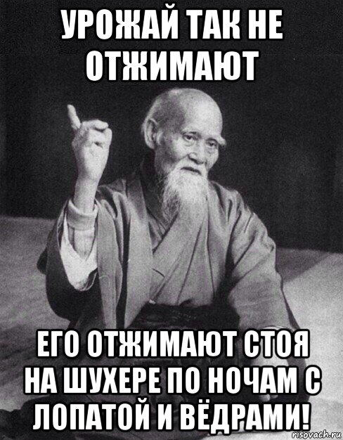 урожай так не отжимают его отжимают стоя на шухере по ночам с лопатой и вёдрами!, Мем Монах-мудрец (сэнсей)