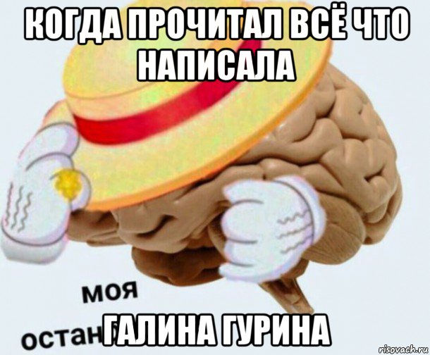 когда прочитал всё что написала галина гурина, Мем   Моя остановочка мозг