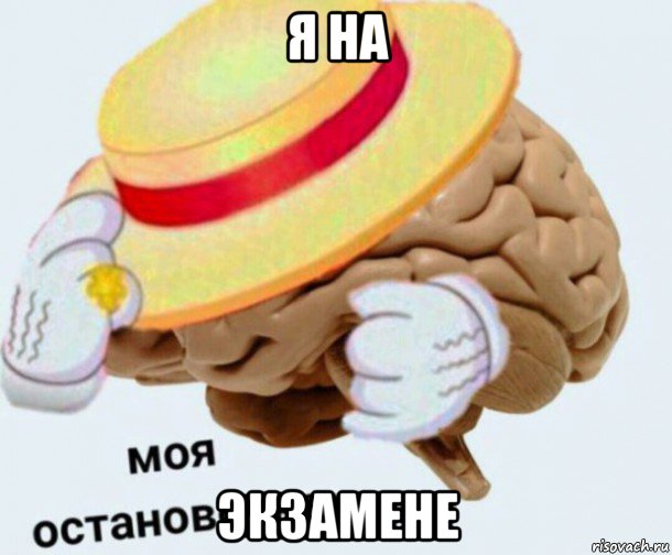 я на экзамене, Мем   Моя остановочка мозг