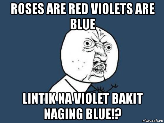 roses are red violets are blue lintik na violet bakit naging blue!?, Мем Ну почему