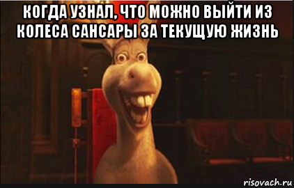 когда узнал, что можно выйти из колеса сансары за текущую жизнь , Мем Осел из Шрека