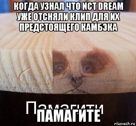 когда узнал что nct dream уже отсняли клип для их предстоящего камбэка памагите, Мем   Памагити