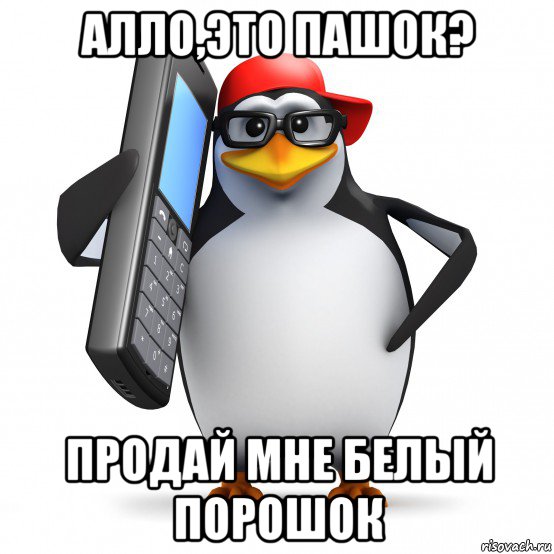 алло,это пашок? продай мне белый порошок, Мем   Пингвин звонит