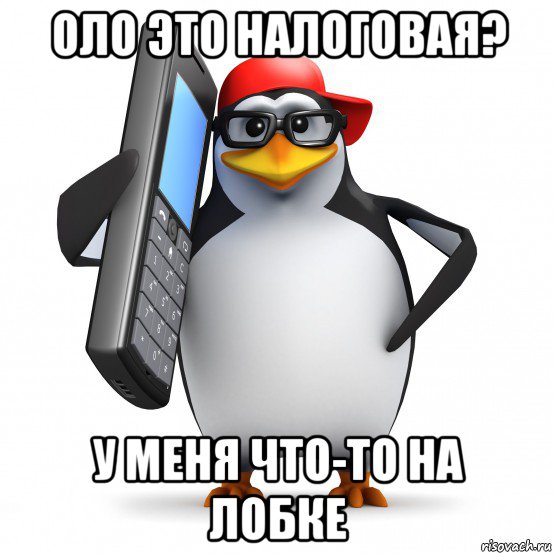 оло это налоговая? у меня что-то на лобке, Мем   Пингвин звонит