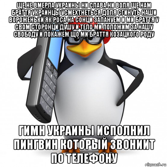 ще не вмерла украины ни слава ни воля ще нам браття украинцы усмехтнеться доля сгинуть наши вороженьки як роса на сонци запануем и ми браття у свом сторонци душу и тело ми положим за нашу свободу и покажем що ми браття козацкого роду гимн украины исполнил пингвин который звониит по телефону, Мем   Пингвин звонит