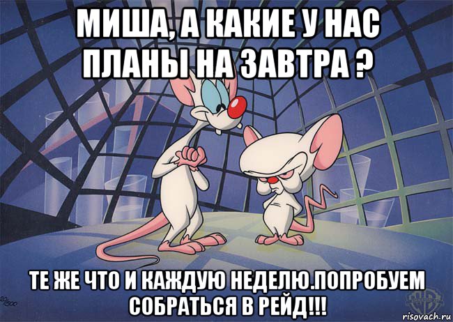 миша, а какие у нас планы на завтра ? те же что и каждую неделю.попробуем собраться в рейд!!!, Мем ПИНКИ И БРЕЙН