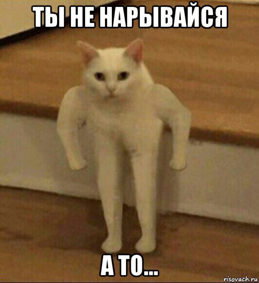 ты не нарывайся а то..., Мем  Полукот