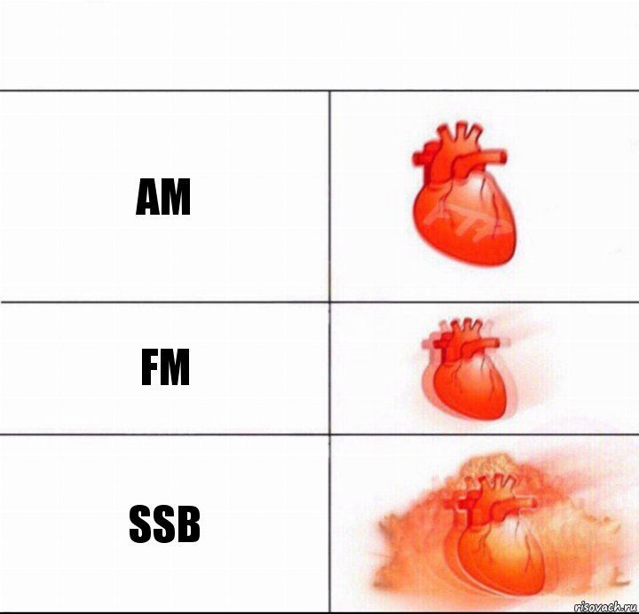 AM FM SSB, Комикс  Расширяюшее сердце