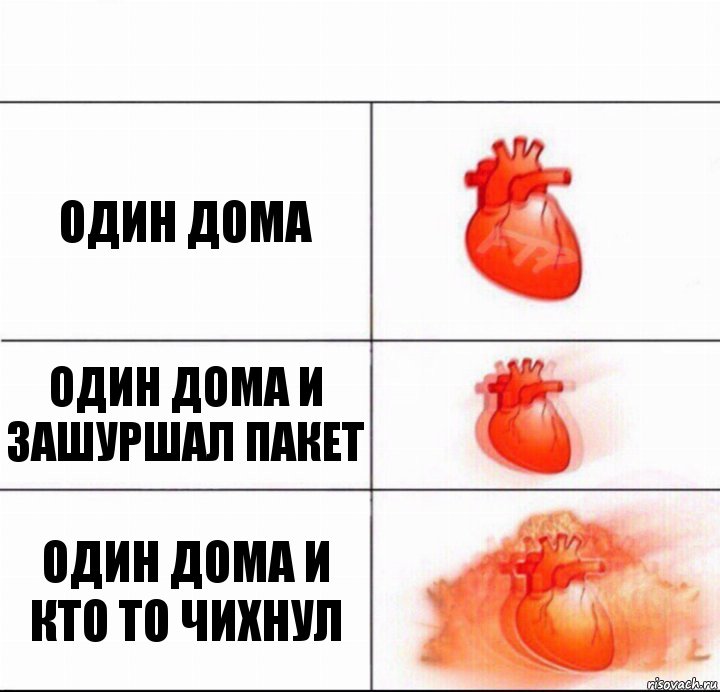 Один дома Один дома и зашуршал пакет Один дома и кто то чихнул, Комикс  Расширяюшее сердце