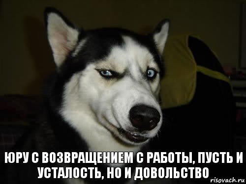 юру с возвращением с работы, пусть и усталость, но и довольство, Комикс  Собака подозревака