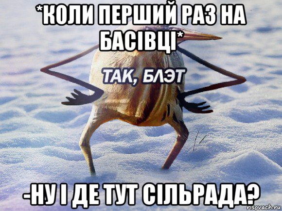 *коли перший раз на басівці* -ну і де тут сільрада?, Мем  Так блэт птица с руками