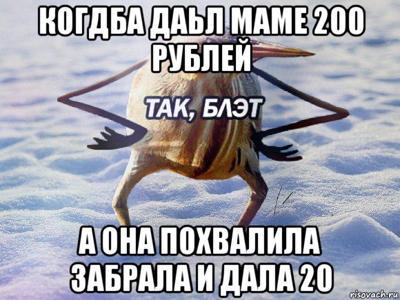 когдба даьл маме 200 рублей а она похвалила забрала и дала 20, Мем  Так блэт птица с руками