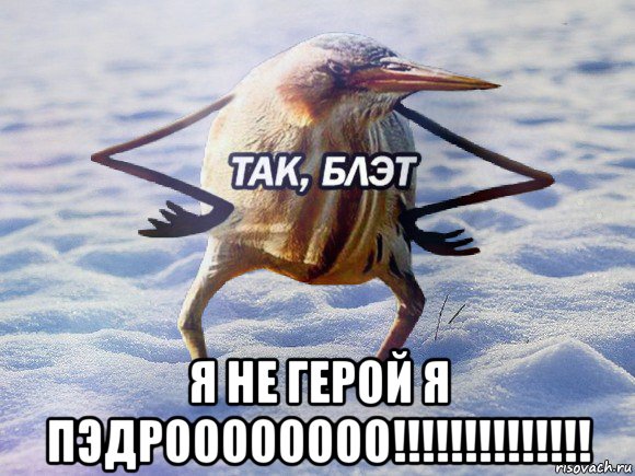  я не герой я пэдроооооооо!!!!!!!!!!!!!!, Мем  Так блэт птица с руками