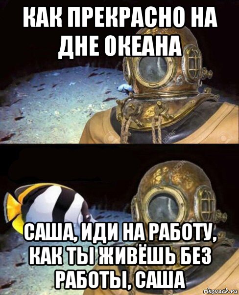 как прекрасно на дне океана саша, иди на работу, как ты живёшь без работы, саша