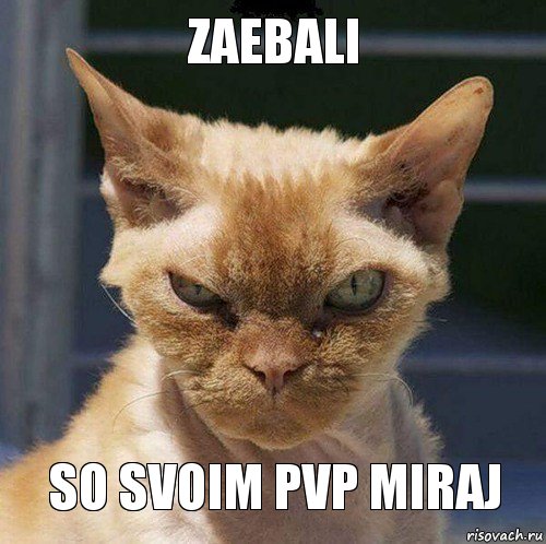 zaebali so svoim pvp miraj, Комикс  злой кот