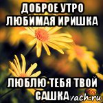 Картинка доброе утро любимая иришка