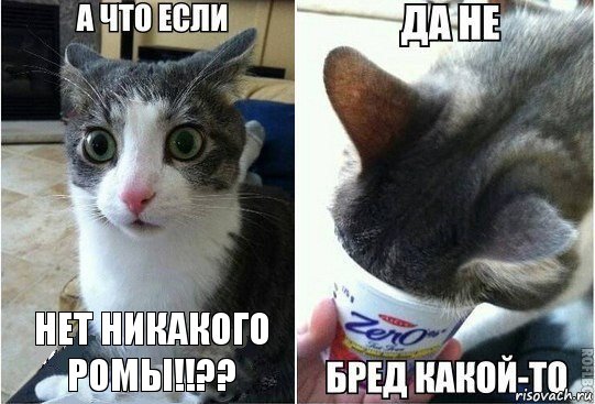 НЕТ никакого РОМЫ!!??, Комикс А что если