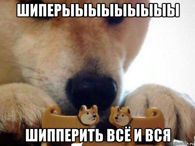 шиперыыыыыыыыы шипперить всё и вся