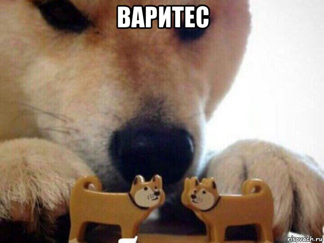 варитес 