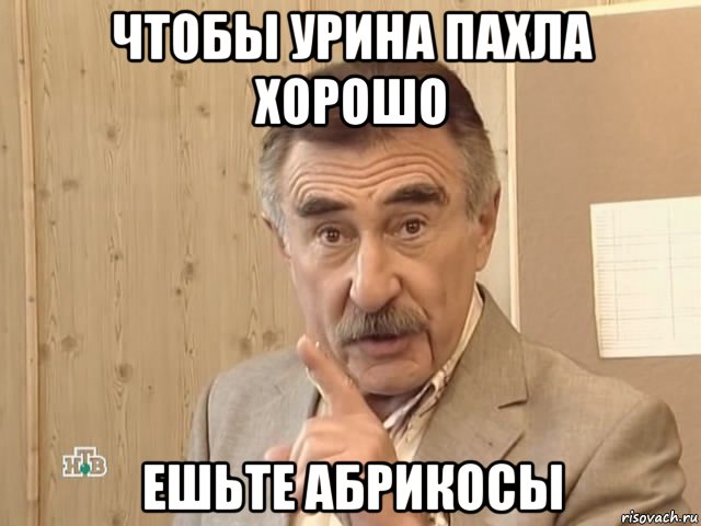 чтобы урина пахла хорошо ешьте абрикосы, Мем Каневский (Но это уже совсем другая история)