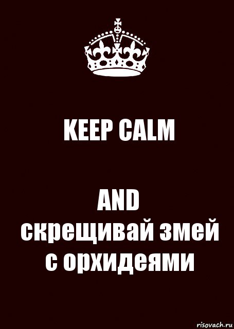 KEEP CALM AND
скрещивай змей с орхидеями