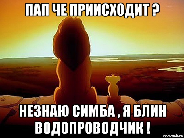 пап че приисходит ? незнаю симба , я блин водопроводчик !, Мем  король лев