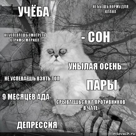 Учёба пары - сон депрессия не успеваешь взять топ не бьёшь норму для клана срываешься на противников в чате не успеваешь смотреть стримы марика 9 месяцев ада Унылая осень, Комикс  кот безысходность