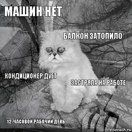 Машин нет Застряла на работе Балкон затопило 12-часовой рабочий день Кондиционер дует     , Комикс  кот безысходность