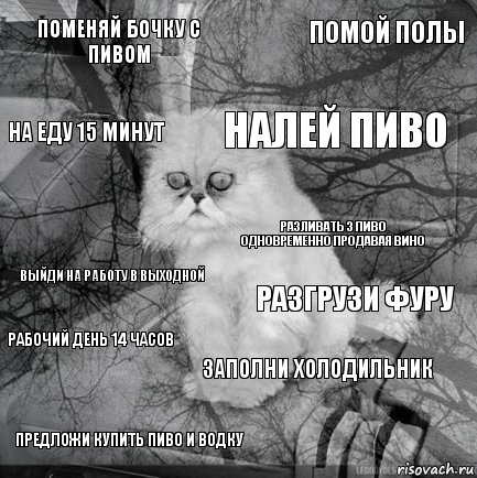 Поменяй бочку с пивом разгрузи фуру налей пиво предложи купить пиво и водку выйди на работу в выходной помой полы заполни холодильник на еду 15 минут рабочий день 14 часов разливать 3 пиво одновременно продавая вино, Комикс  кот безысходность